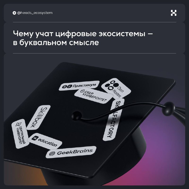 Поступил в экосистему > поступил в вуз
Компания Wildberries & Russ объявила, что скоро запустит свою образовательную платформу | Сетка — социальная сеть от hh.ru