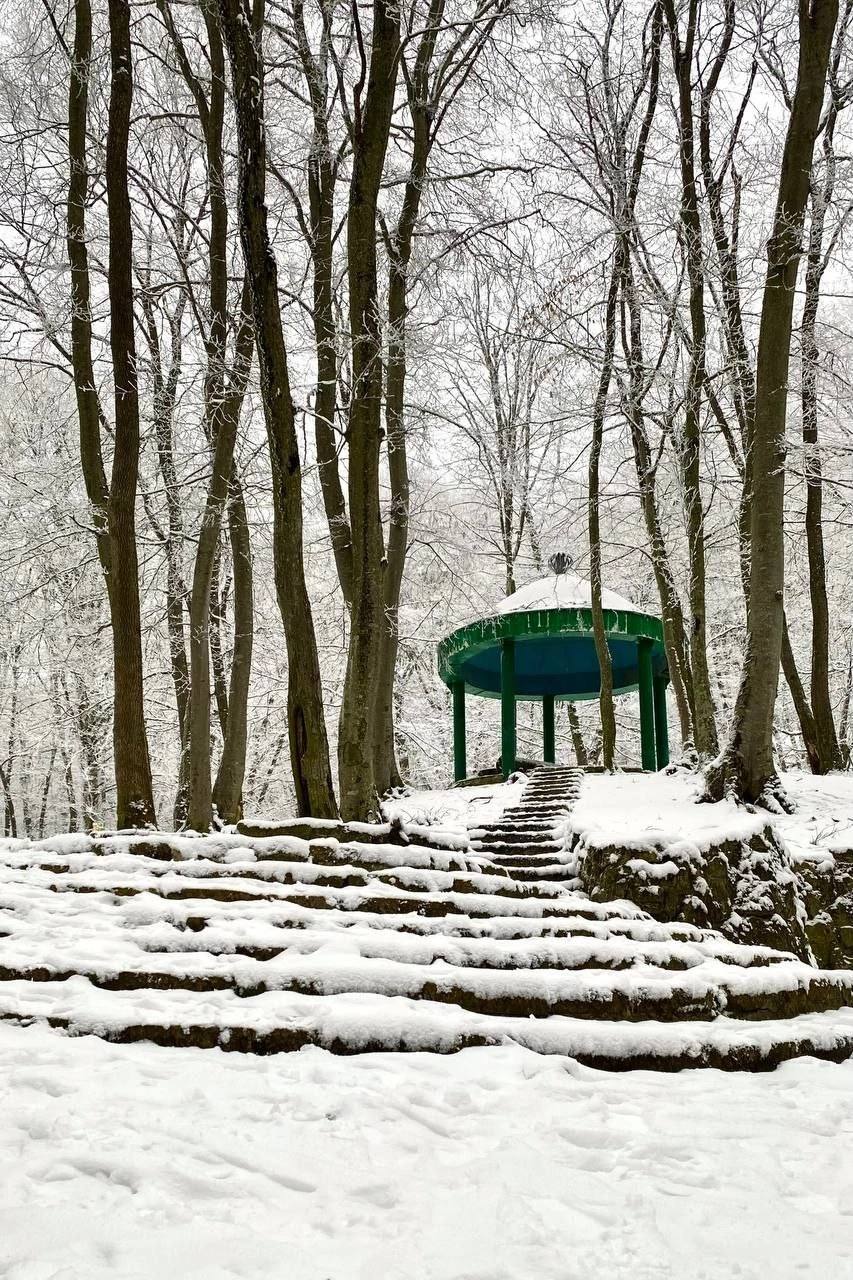 ❄ Холодные родники в Таманском лесу
📷 dyadyasfotikom
@stavropolyevibe | Сетка — социальная сеть от hh.ru