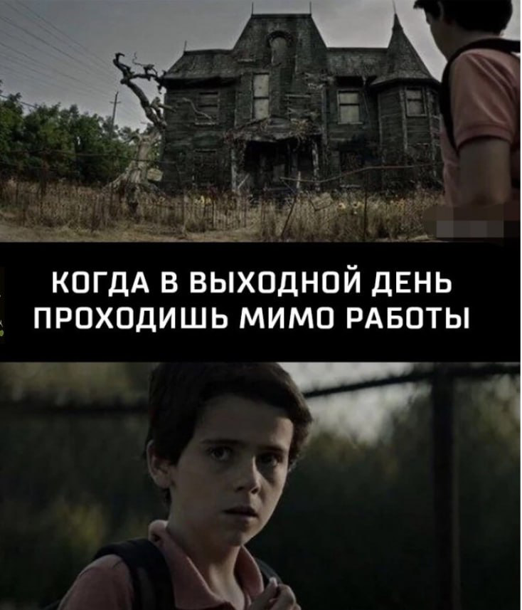 Сетка — социальная сеть от hh.ru