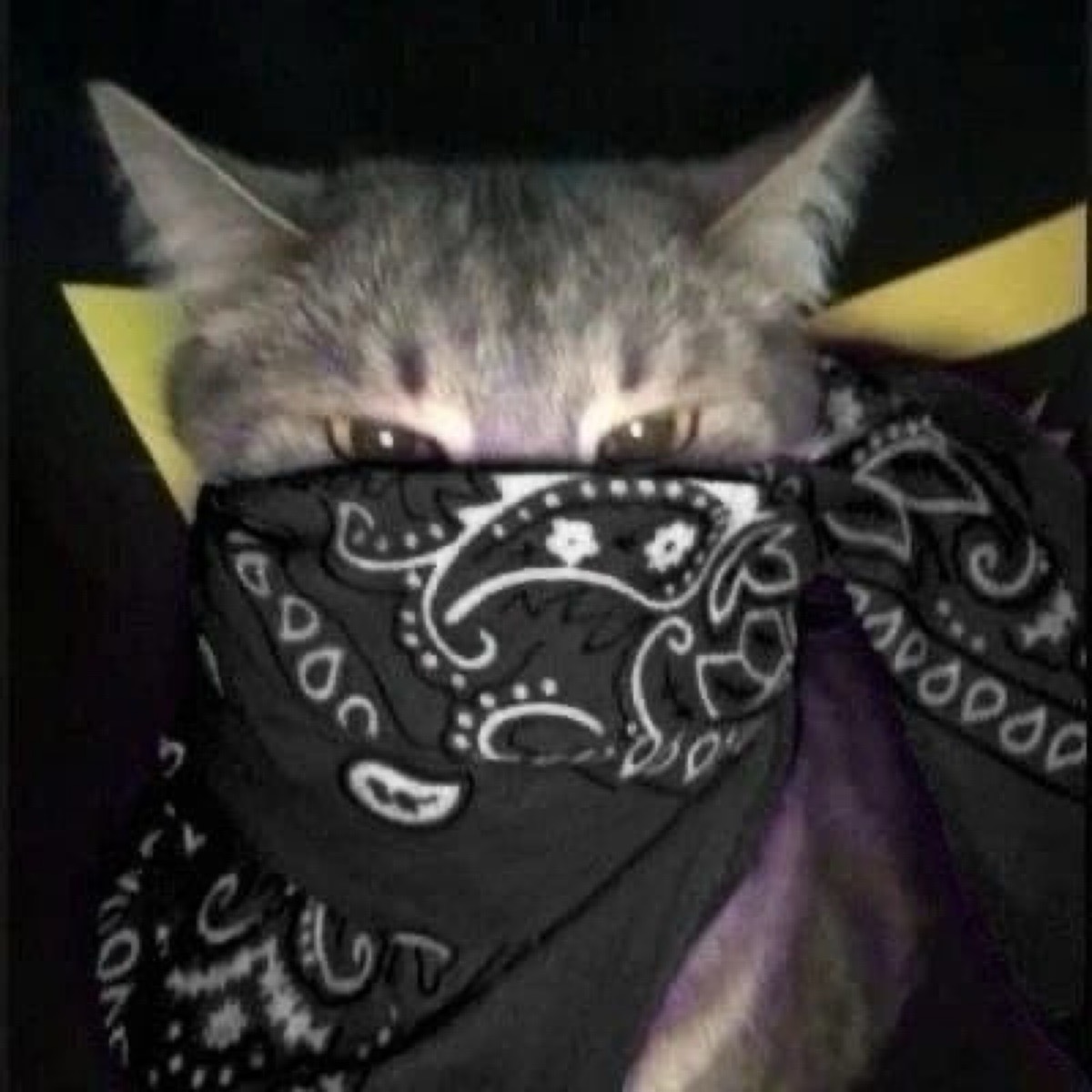 Максим Gg