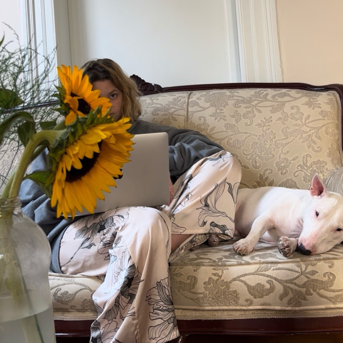 Анастасия Комарова