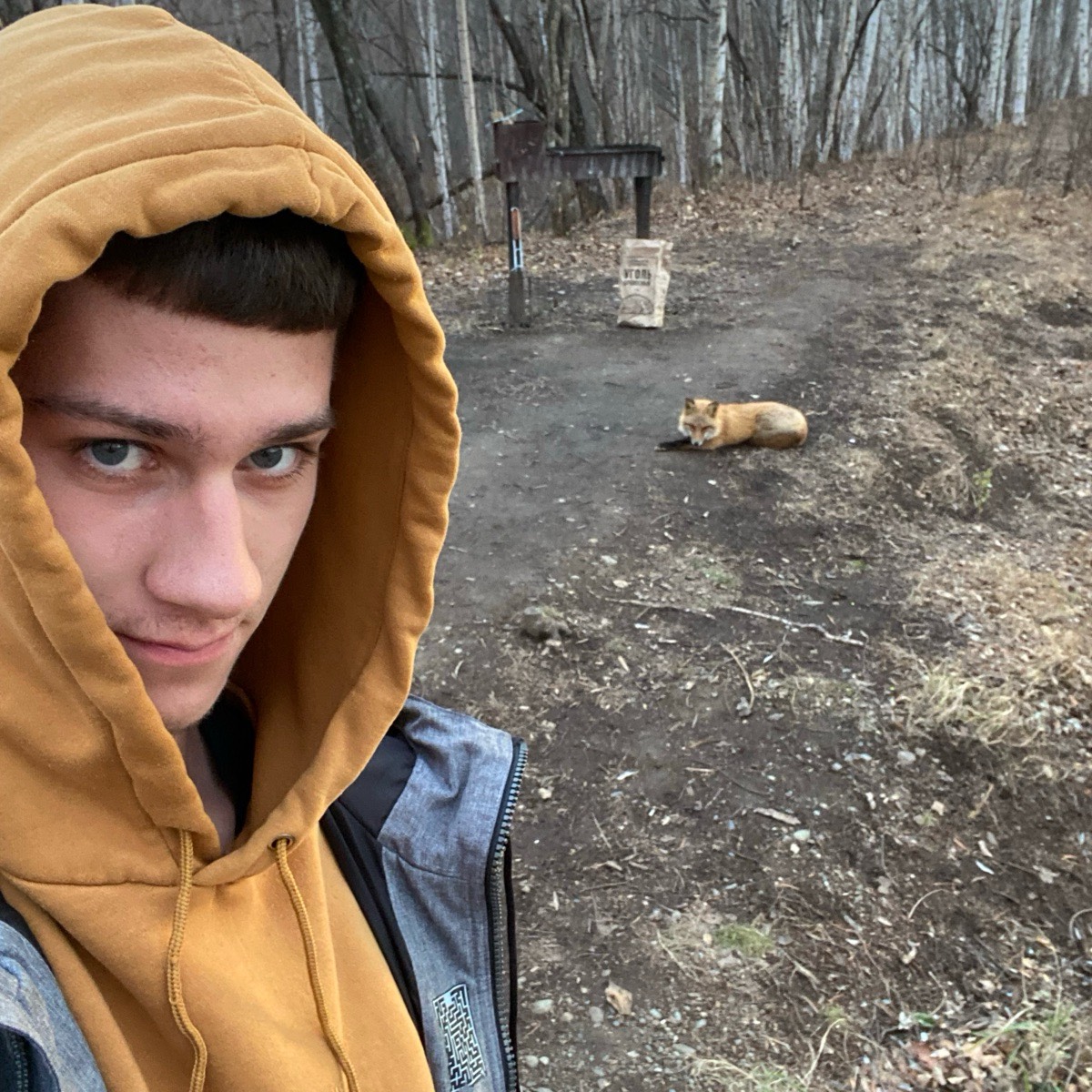 Ярослав Соколов