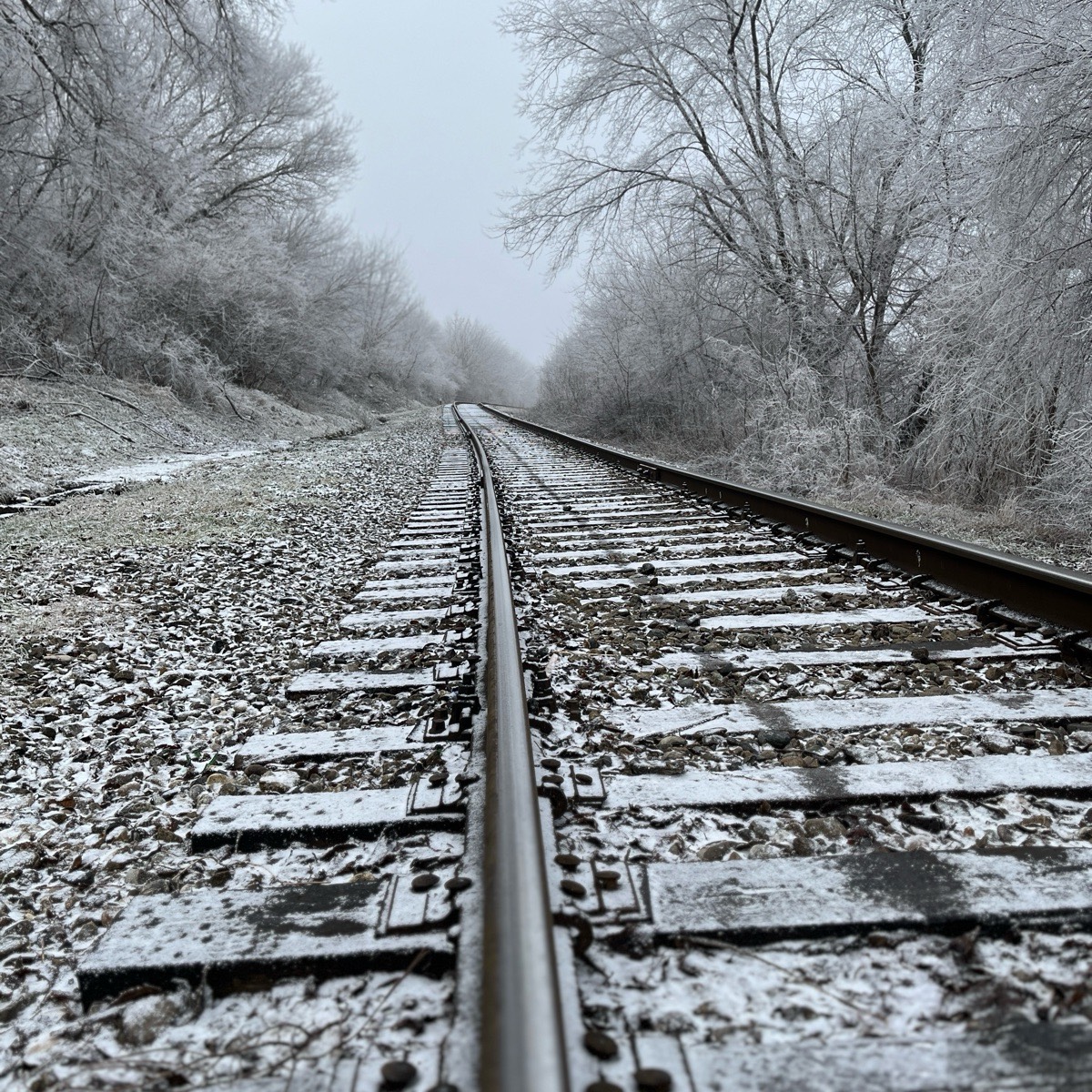 Алексей Савченко