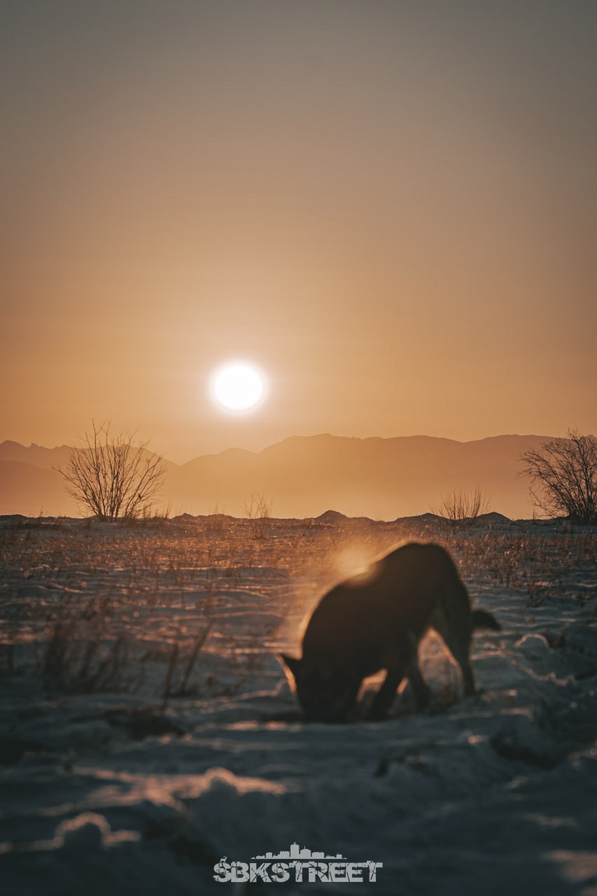❤️ 3 |➡️ sbkstreet

27, рассвет сегодня утром ☀️- солнце ждет ваших реакций🙂 | Сетка — социальная сеть от hh.ru