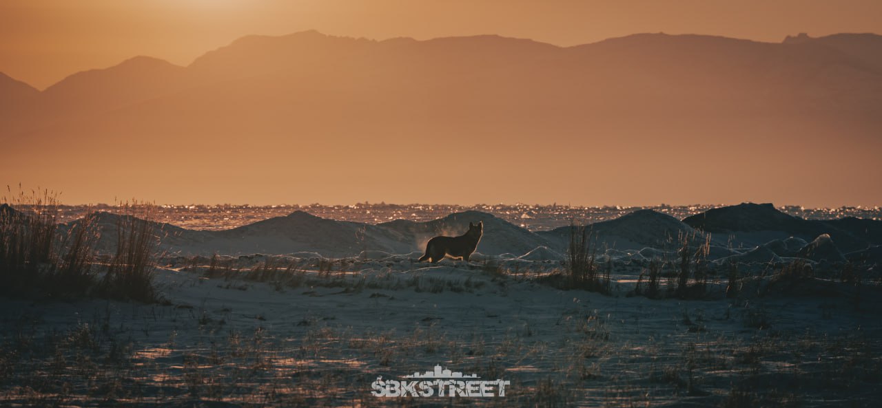 ❤️ 3 |➡️ sbkstreet

27, рассвет сегодня утром ☀️- солнце ждет ваших реакций🙂 | Сетка — социальная сеть от hh.ru