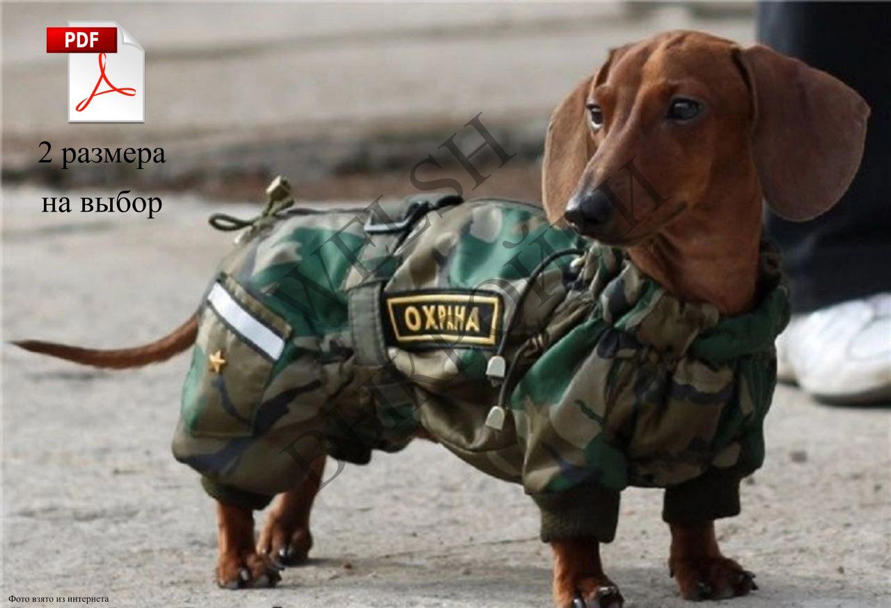 🧵 Выкройка защитного комбинезона построена на собаку породы 🐶 ТАКСА
📏 Размер: ТМ 2
📌 Длина спины: 37-39 см
📌 Обхват груди: 43-45 см
📏 Размер: ТС 1
📌 Длина спины: 46-48 см
📌 Обхват груди: 52-54 см
🛠 Вы... | Сетка — социальная сеть от hh.ru