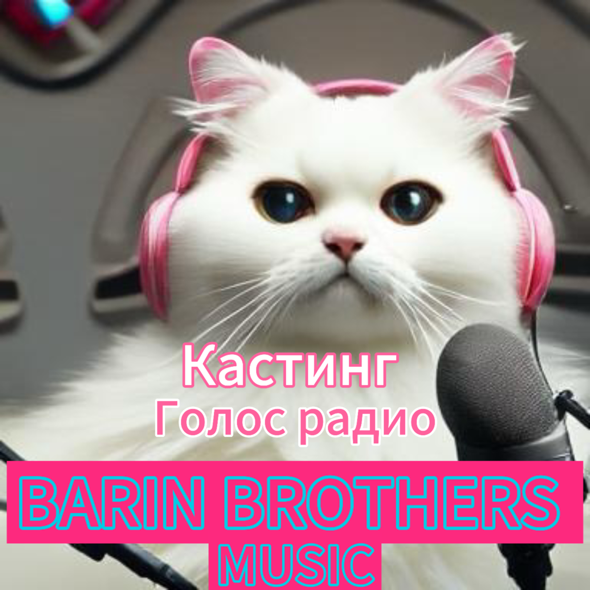 Радио «BARIN BROTHERS MUSIC» ( Санкт-Петербург) приглашает на кастинг радиоведущих!
Требования:

Девушка
Поставленный голос
Возраст 18/35
Внешность привлекательная
Без опыта / С опытом
☎️ 89808033381
... | Сетка — социальная сеть от hh.ru