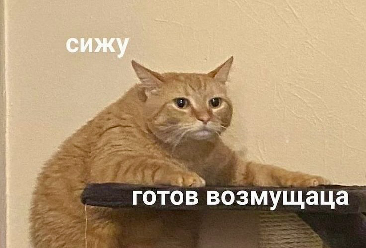 Рафинированные команды | Сетка — социальная сеть от hh.ru