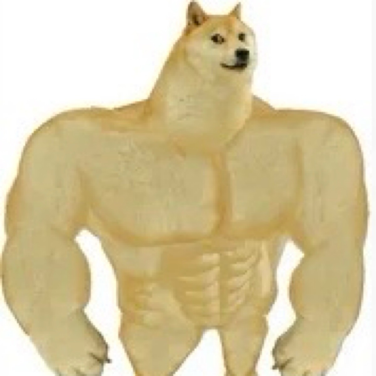 Данил Кашкин
