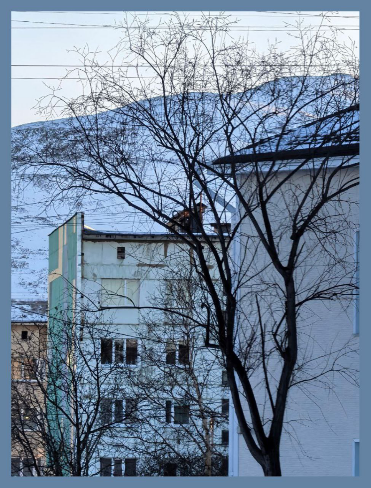 Деревья СТАЛИ большими / The trees have gotten big | Сетка — социальная сеть от hh.ru