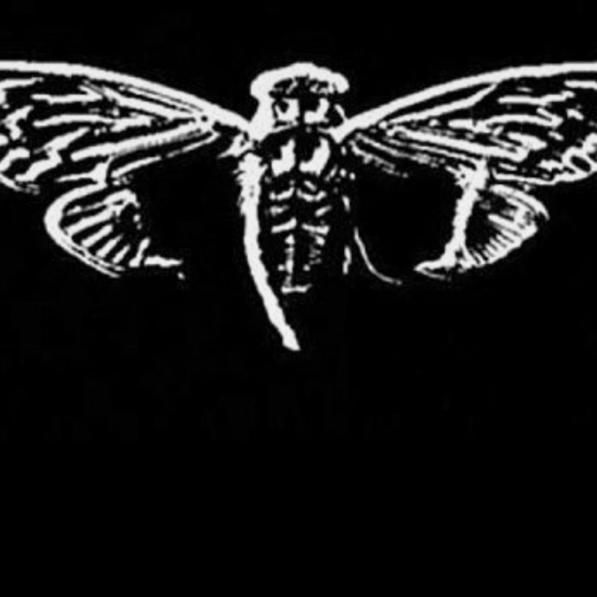 ИБ | Dark Internet | TLF