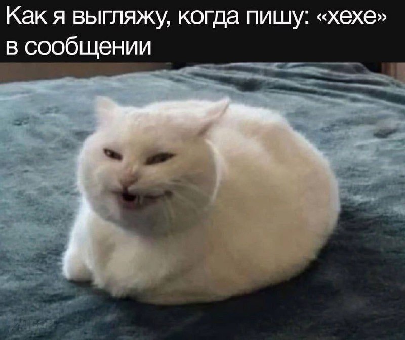 Доброго утра) | Сетка — социальная сеть от hh.ru