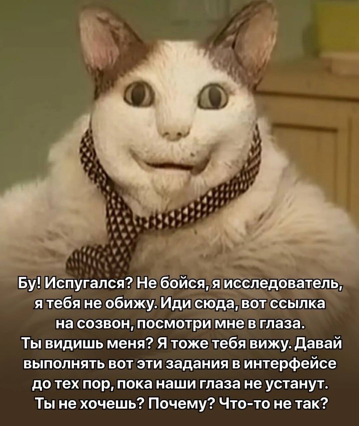 Коллеги, ну мы
Когда самостоятельно занимаешься рекрутингом | Сетка — социальная сеть от hh.ru