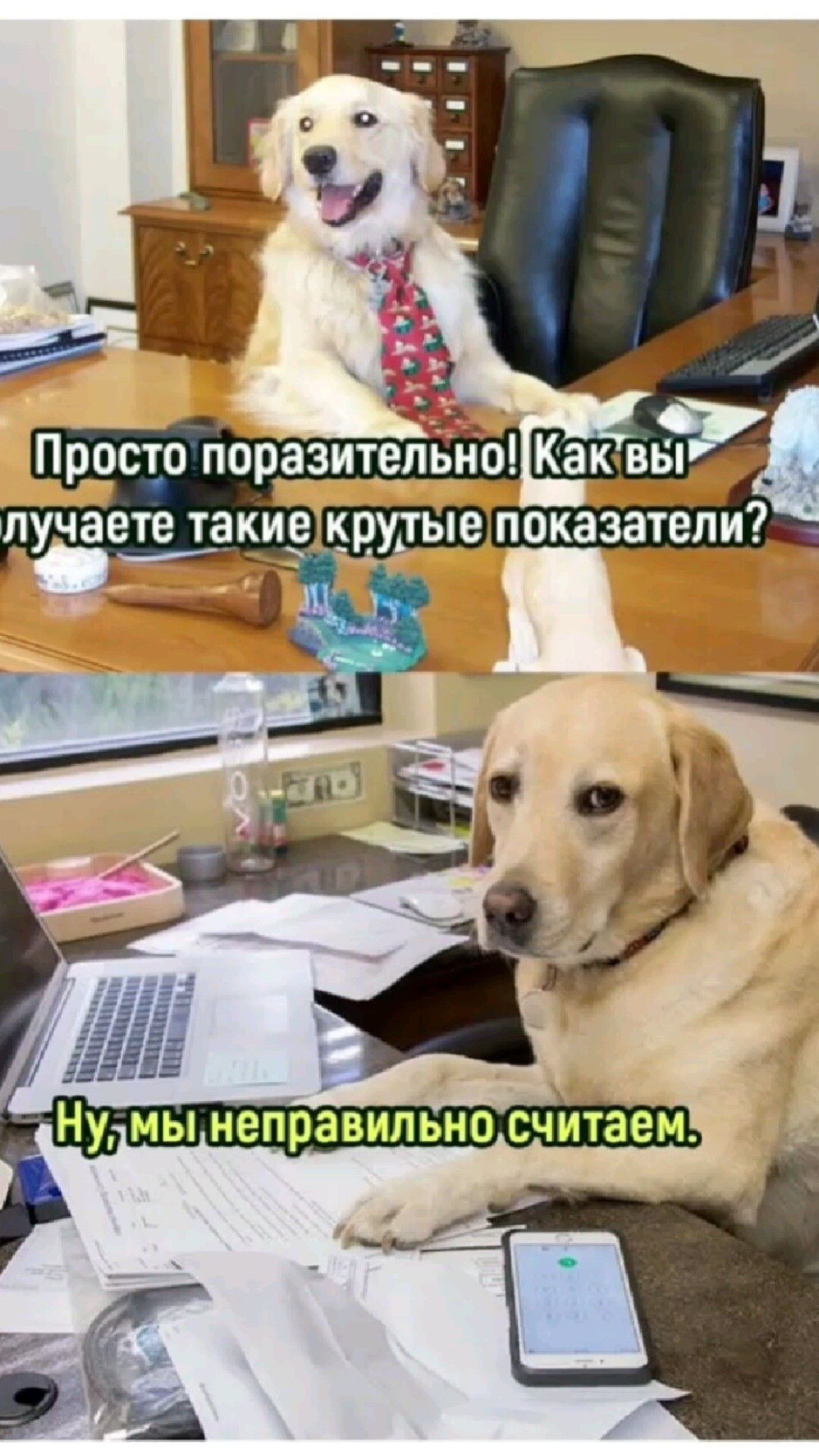 А ты рисковый или нет? Сравниваем работу в найме и стартап😱 | Сетка — социальная сеть от hh.ru