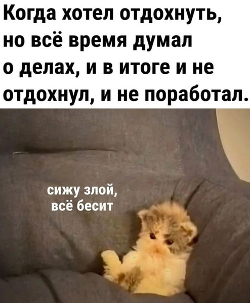Сетка — социальная сеть от hh.ru