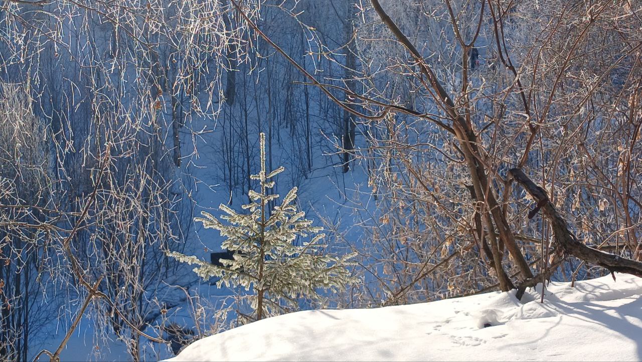 Подруга пишет: "Так, так, так...
Красивое утро, а фото от тебя ещё нет? Непорядок!😁"
Исправляюсь!
Чистое голубое небо, звенящий иней, совсем небольшая минусов температура. Ощущение сказки и радости | Сетка — социальная сеть от hh.ru