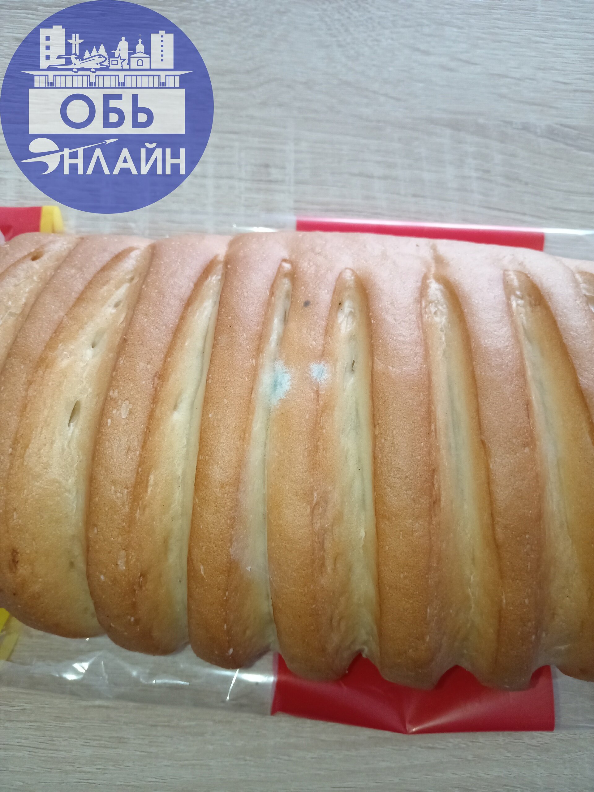 ↗ Вот такой батон сегодня купил муж в магазине Мария-а на Октябрьской 8. Будете внимательны к покупкам в этом магазине. Это не продуктовый магазин, а помойка.
vk.com
Подробнее на https://vk.com/ob | Сетка — социальная сеть от hh.ru