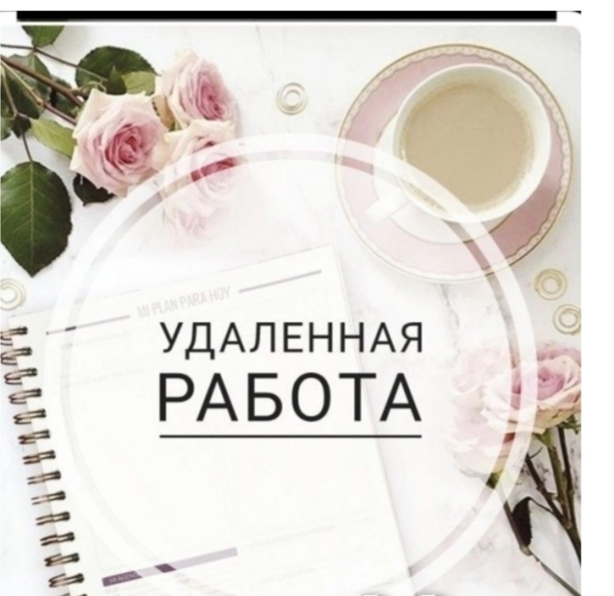 🌈 Ищем талантливых сотрудников!
💰 Полностью белая зарплата на банковскую карту 💳 + приятно удивляющие премии | Сетка — социальная сеть от hh.ru