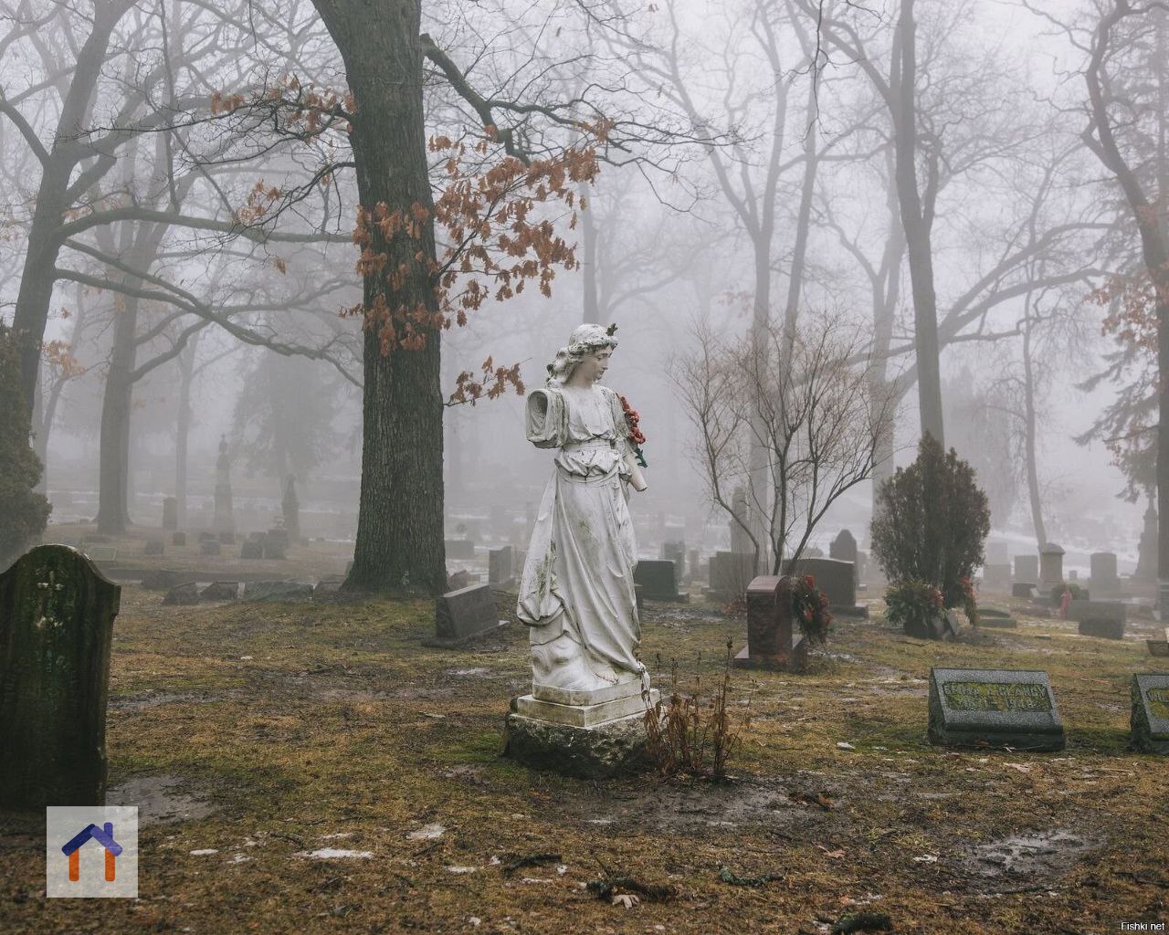Прошелся по кладбищу Монпарнас. Все — молодые и старые — строили планы на будущее. Больше не строят | Сетка — социальная сеть от hh.ru