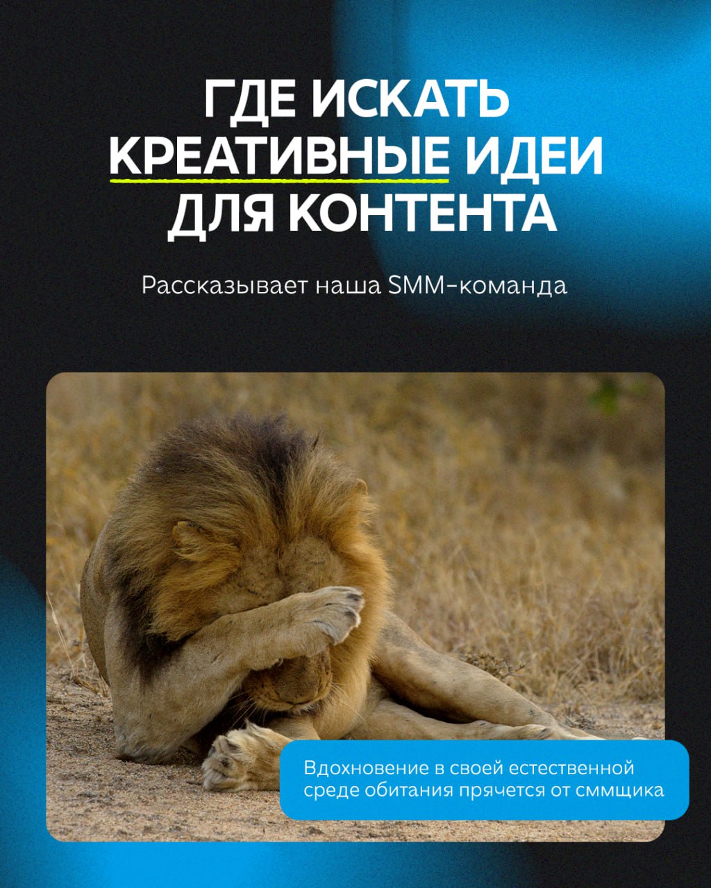 Признаём: эффективные креативы не появляются на свет в результате чудесного озарения. Всё начинается с аналитики и стратегии, как утро с крепкого кофе — одно без другого не имеет смысла | Сетка — социальная сеть от hh.ru