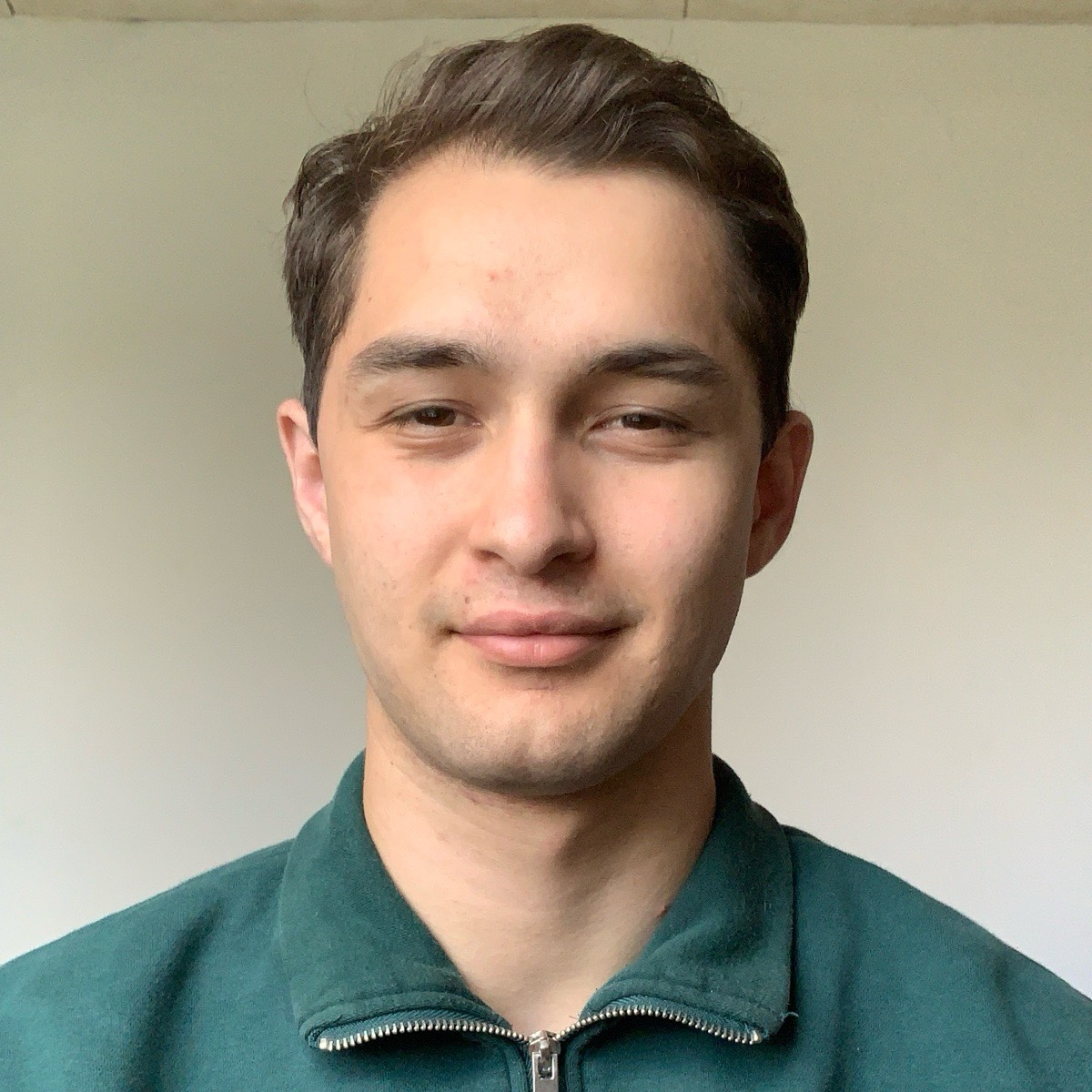 Али Зубрилин