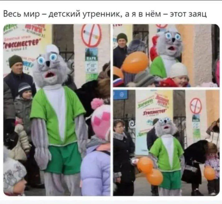 Когда за окном пандемии, СВО, Трамп и пр. Иногда чувствую себя зайцем) | Сетка — социальная сеть от hh.ru