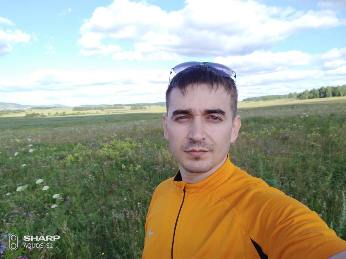 Александр Воевода