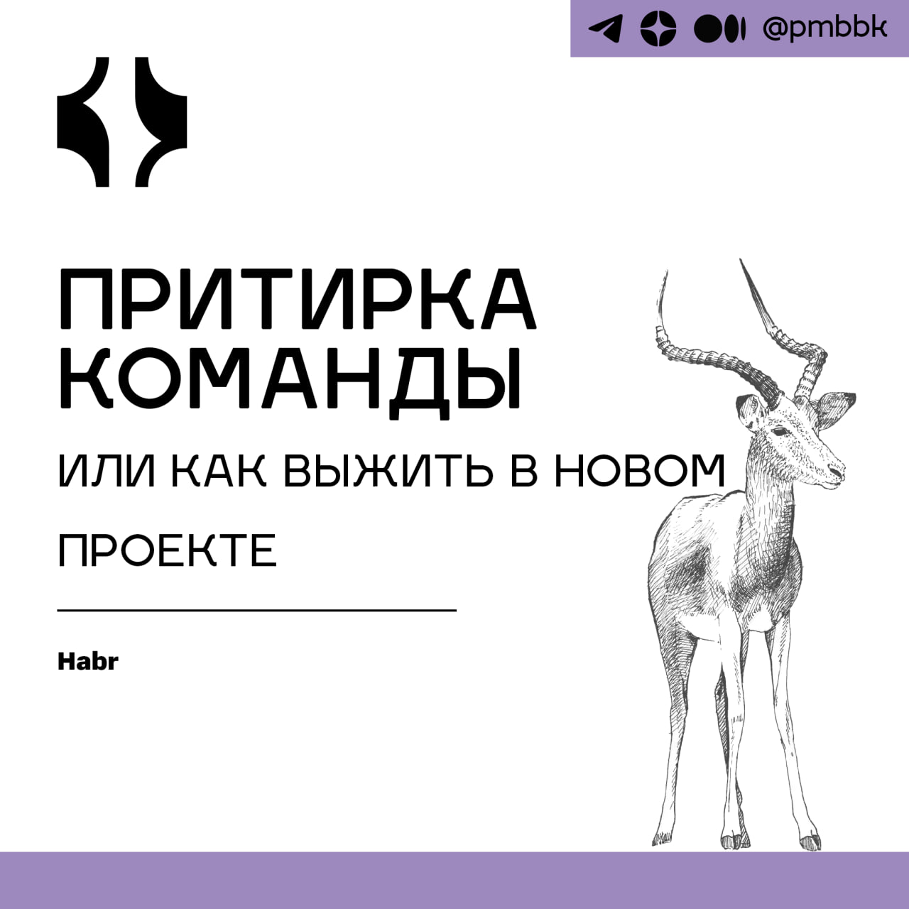 🆕 Притирка команды или как выжить в новом проекте
Если вы запускали продуктовый проект с новой командой, то точно проходили тернистый путь притирки | Сетка — социальная сеть от hh.ru