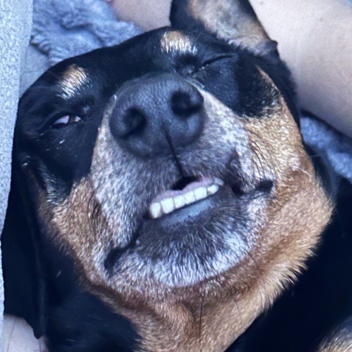 Сергей Кустов