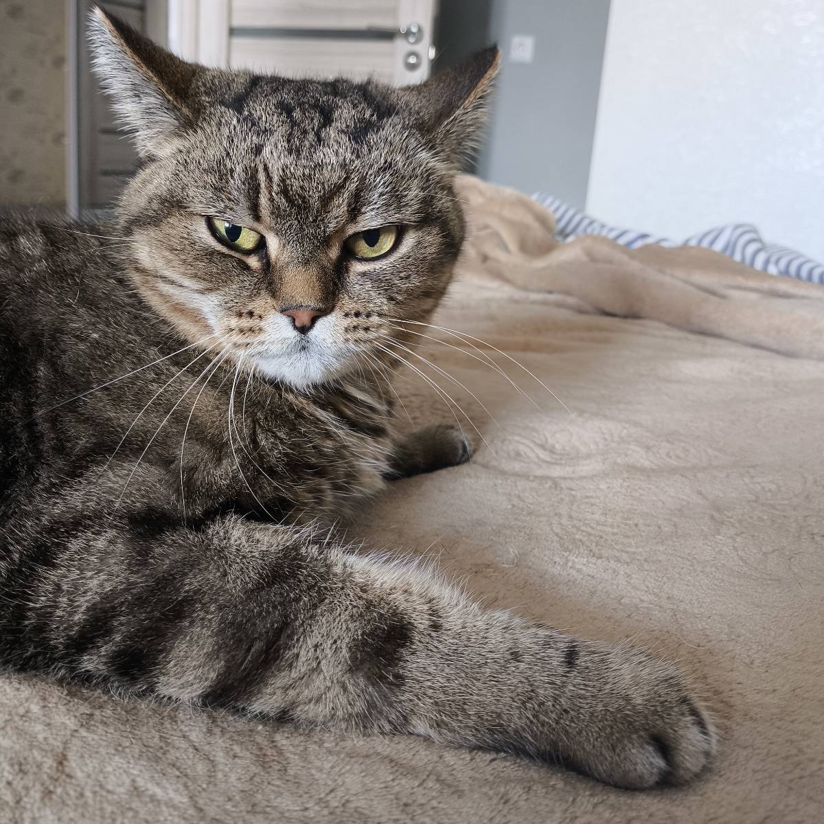 Алёна Кульчитских