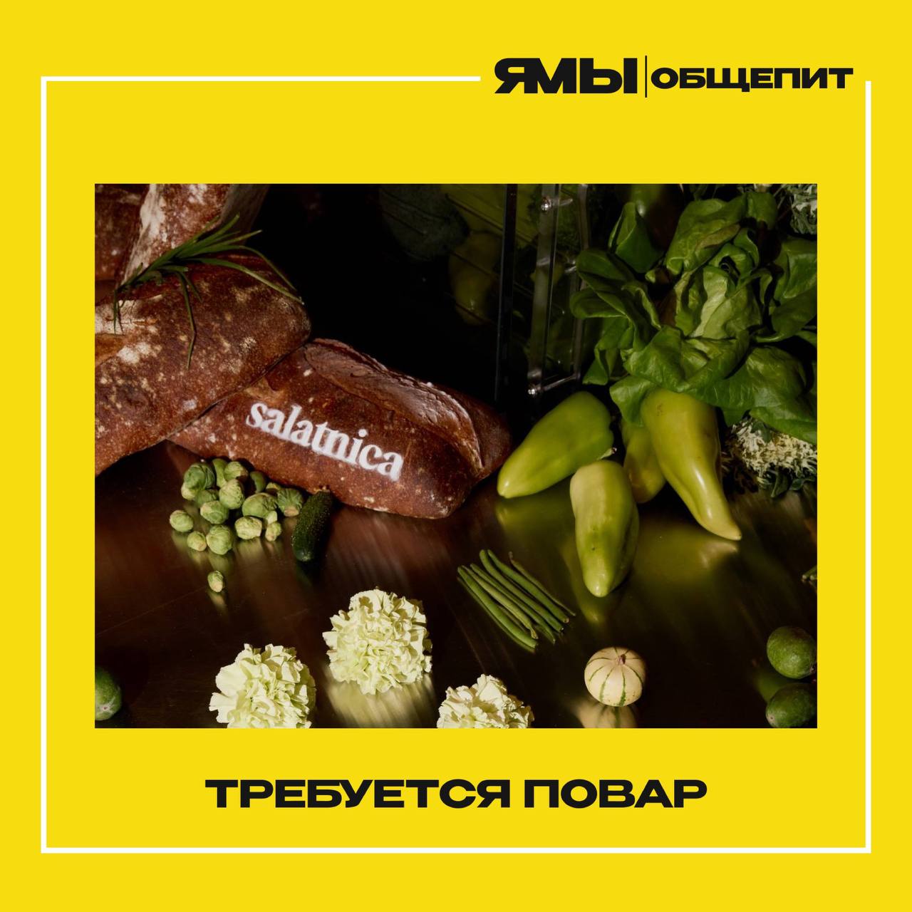 “SALATNICA” – Фаст-фуд нового поколения
Вакансия: Повар линии раздачи (работа за наличные на 12 | Сетка — социальная сеть от hh.ru