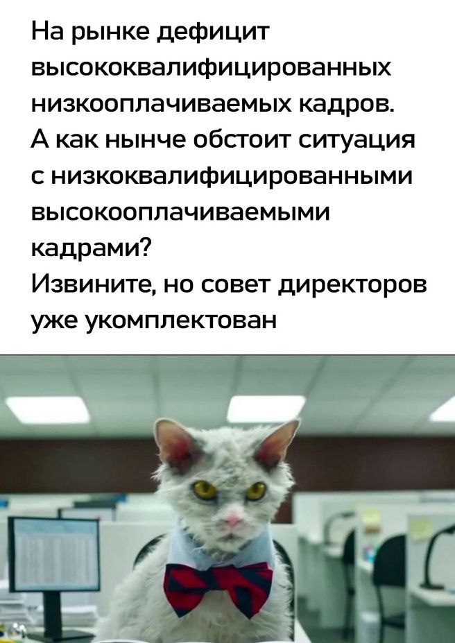 Краткие итоги анкетирования в этой картинке))))).
Это, конечно, шутка, но не совсем. Довольно близко к тому, что отвечали люди.
Позже предлагаю обсудить это детальнее | Сетка — социальная сеть от hh.ru