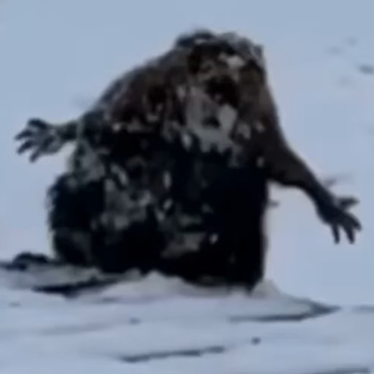 Евгений Самарин