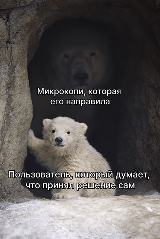 Микрокопи макро важности
Интересную тему подняли в DNT Digital | Сетка — социальная сеть от hh.ru