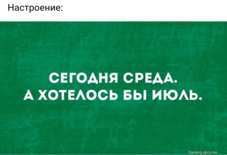 Друзья, как думаете, кто больше мотивирован и успешнее доходит до конца курса (в среднем):
1️⃣те, кто обучается в моих открытых группах (платят сами
2️⃣ те, кто обучается бесплатно (платит работодател... | Сетка — социальная сеть от hh.ru