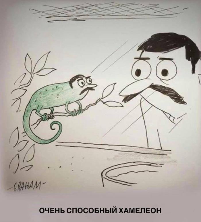 Таких «боюсь» в команде) | Сетка — социальная сеть от hh.ru