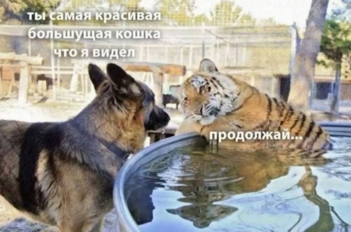 Не забудьте сегодня сделать комплимент приятному человеку | Сетка — социальная сеть от hh.ru