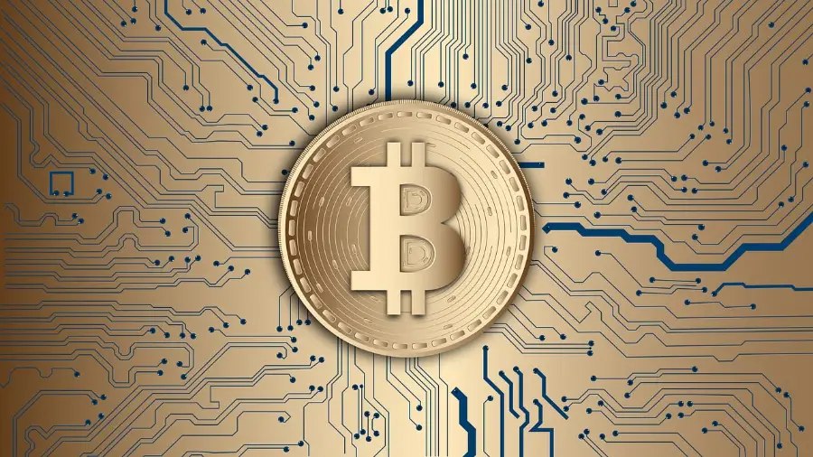 Майнер-одиночка получил вознаграждение 3,125 BTC за добычу блока | Сетка — социальная сеть от hh.ru