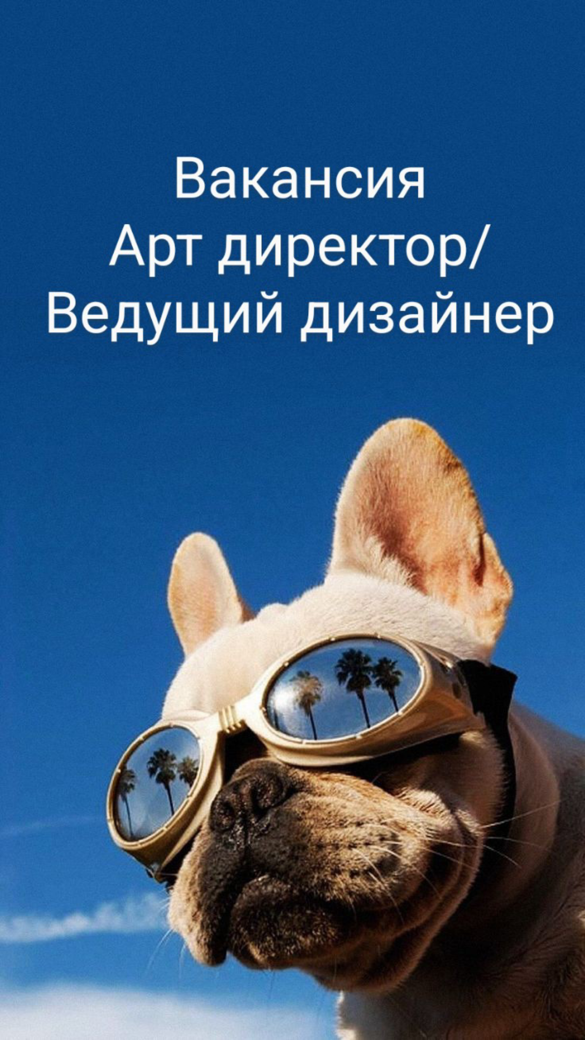 #вакансия #артдиректор #ведущийдизайнер 
Арт-директор / Ведущий дизайнер (Senior designer) (Luxury Branding) 
🔺Формат: удаленка 
🔺Зарплата: 175 000 руб/мес 
 
Мы - Styled Settings, премиальный бренд к... | Сетка — социальная сеть от hh.ru