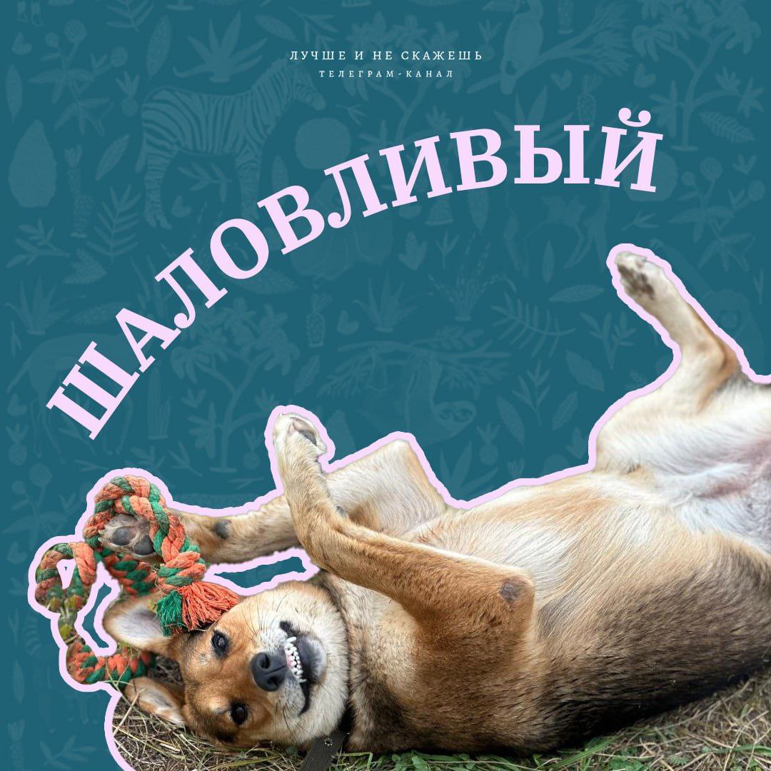 🐼Сегодня Московский зоопарк отмечает свой 161-й день рождения! В честь этого события канал "Лучше и не скажешь" сделал подборку самых смешных фото его обитателей.
Узнали себя?
Гении соцрекламы | Сетка — социальная сеть от hh.ru