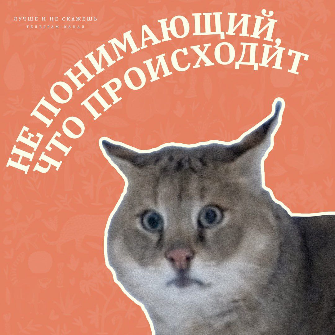 🐼Сегодня Московский зоопарк отмечает свой 161-й день рождения! В честь этого события канал "Лучше и не скажешь" сделал подборку самых смешных фото его обитателей.
Узнали себя?
Гении соцрекламы | Сетка — социальная сеть от hh.ru
