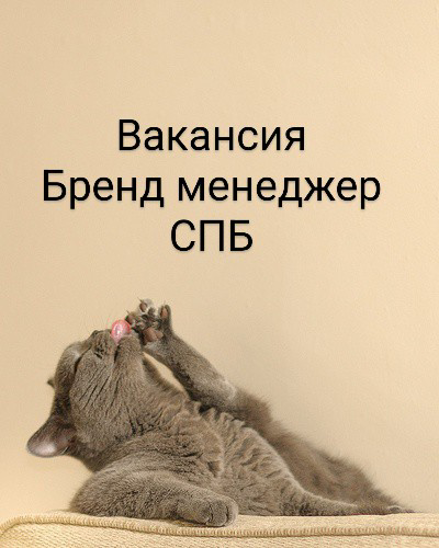 #спб#вакансия  #брендменеджер
Добрый день!
Открыта вакансия бренд менеджера в международную компанию по производству косметики
Ищем кандидата с опытом и рабочим английским
Офис находится в центре Спб
... | Сетка — социальная сеть от hh.ru