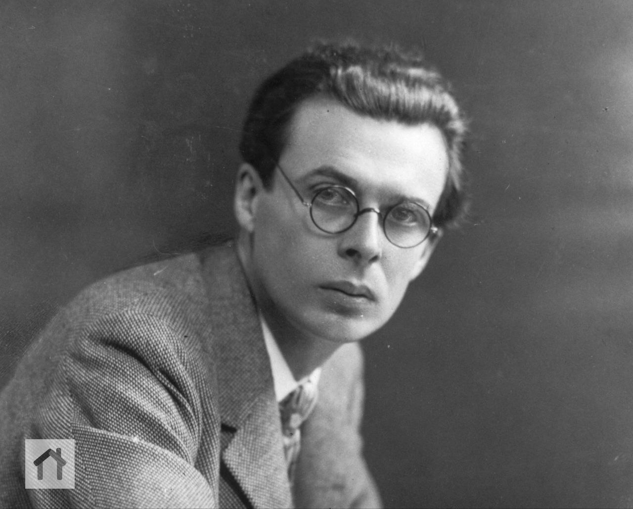 Бегство в книги и университеты похоже на бегство в кабаки | Сетка — социальная сеть от hh.ru