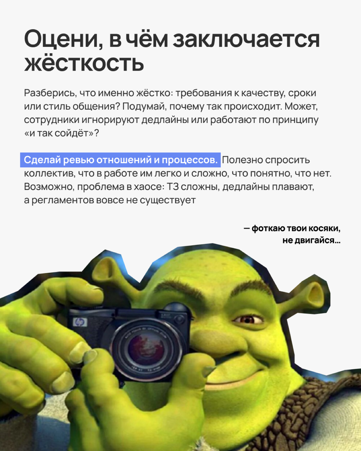 Все мы знаем, как сложно быть Шреком, который постоянно пытается всех научить, не взрываясь от негодования | Сетка — социальная сеть от hh.ru
