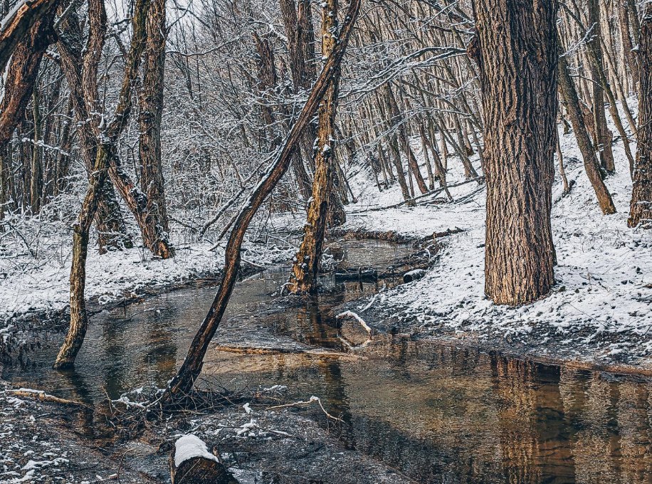 Ставрополь. Река Ташла в Таманском лесу
📷 Дмитрий Артюшенко
@stavropolyevibe | Сетка — социальная сеть от hh.ru