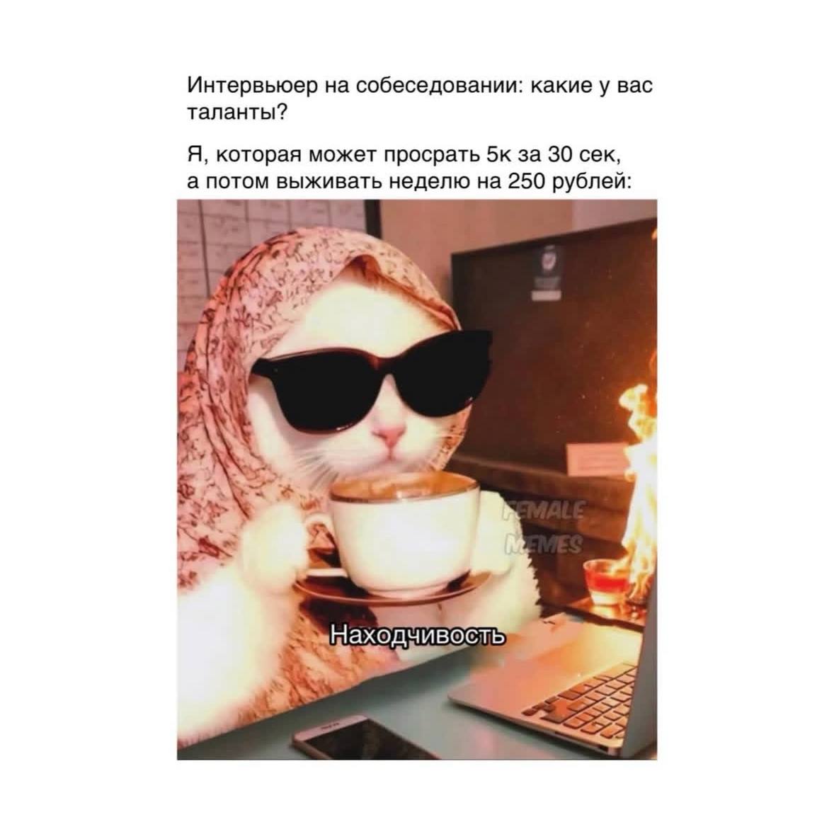 Традиционная порция мемов в четверг 😉 | Сетка — социальная сеть от hh.ru