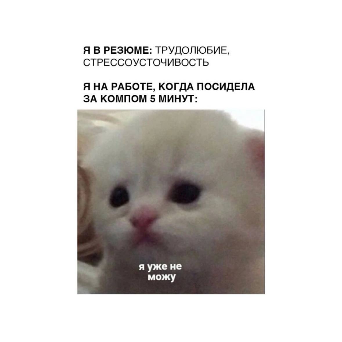 Традиционная порция мемов в четверг 😉 | Сетка — социальная сеть от hh.ru