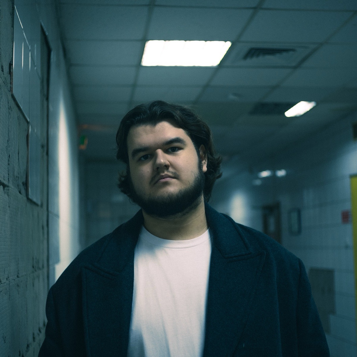 Никита Петренко | Сетка — социальная сеть от hh.ru