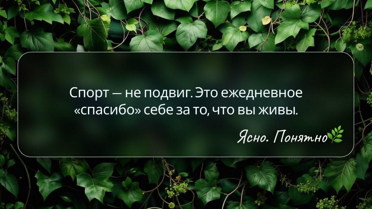 Я не спортсмен🤸‍♂️ | Сетка — социальная сеть от hh.ru
