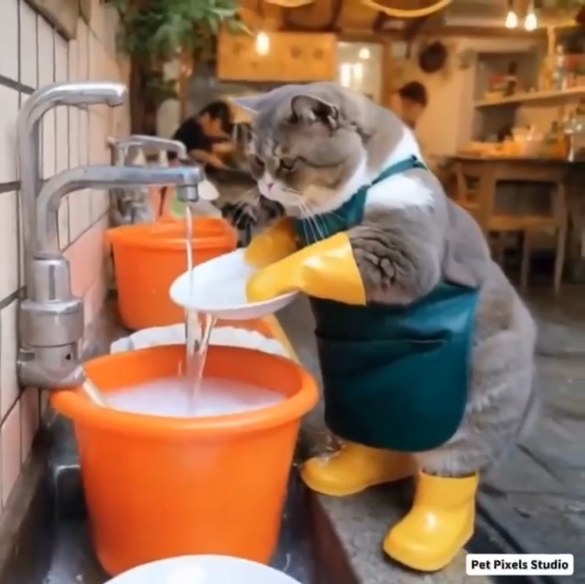ИИ в действии.. котики 🐈
Видео тут 👉 https://t.me/hellogarag | Сетка — социальная сеть от hh.ru